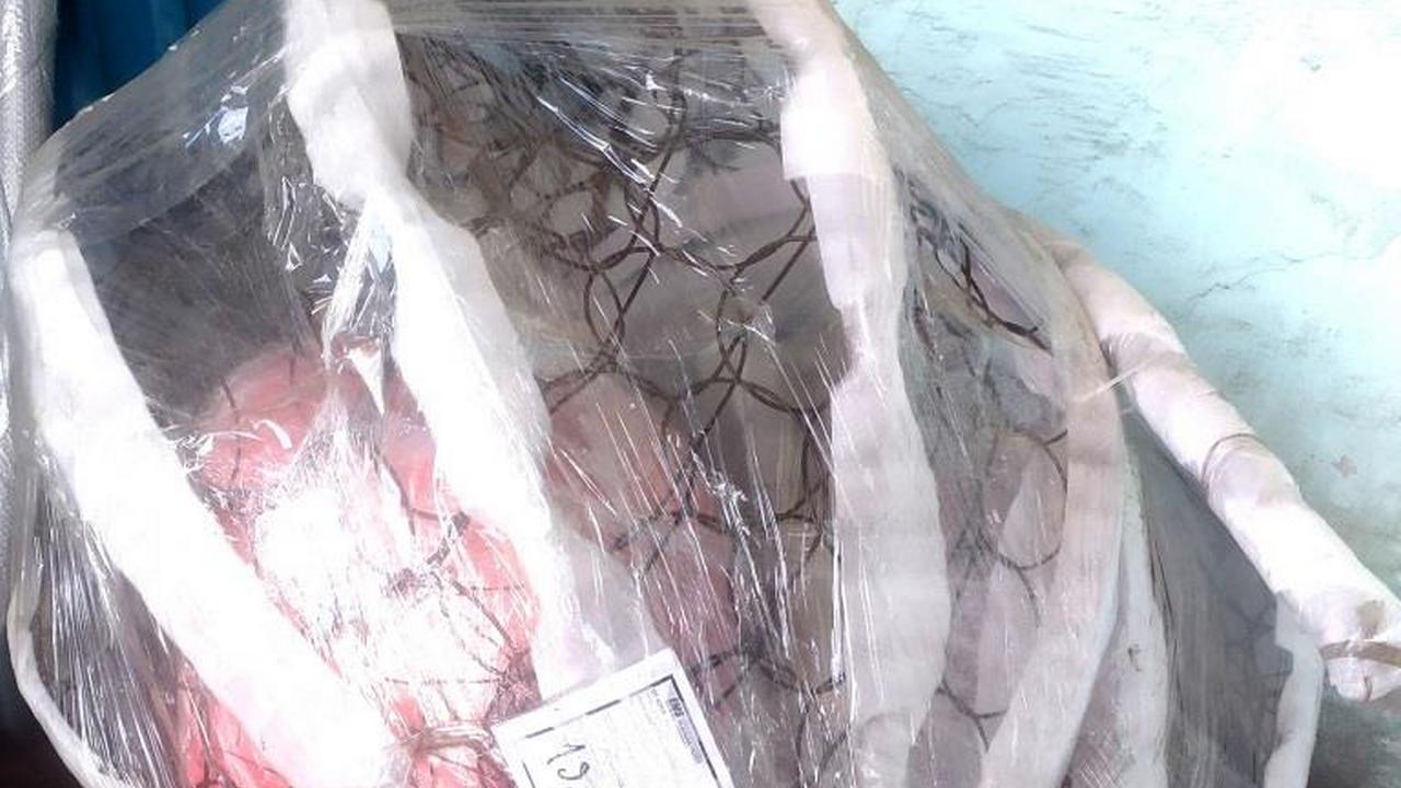 В Почте России назвали необычные летние посылки, которые отправляют из Челябинска В Почте России назвали необычные летние посылки, которые отправляют из Челябинска