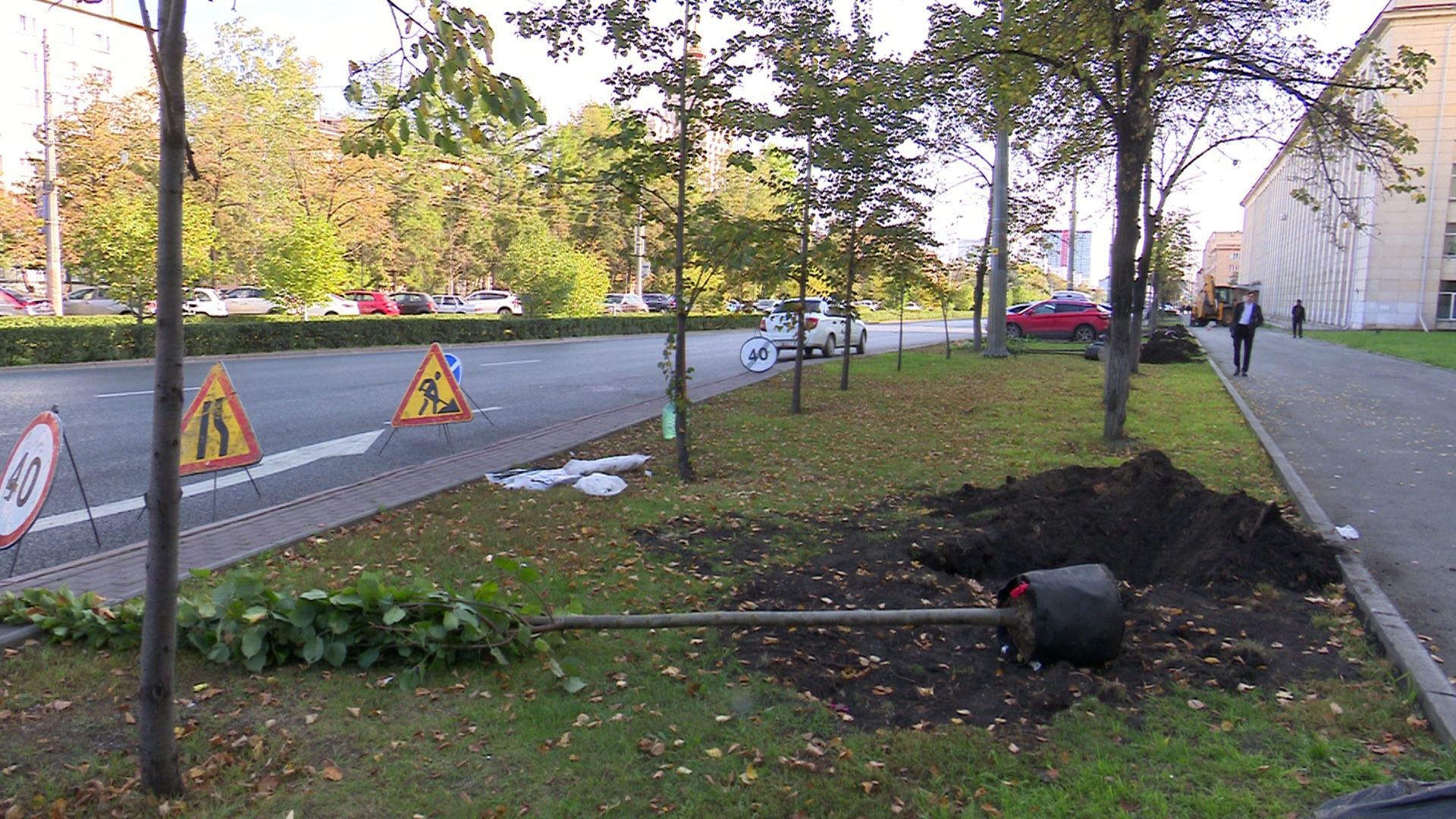 Новые аллеи появятся в Челябинске: как озеленяют город