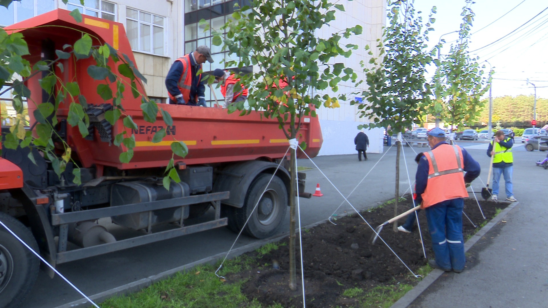 Новые аллеи появятся в Челябинске: как озеленяют город