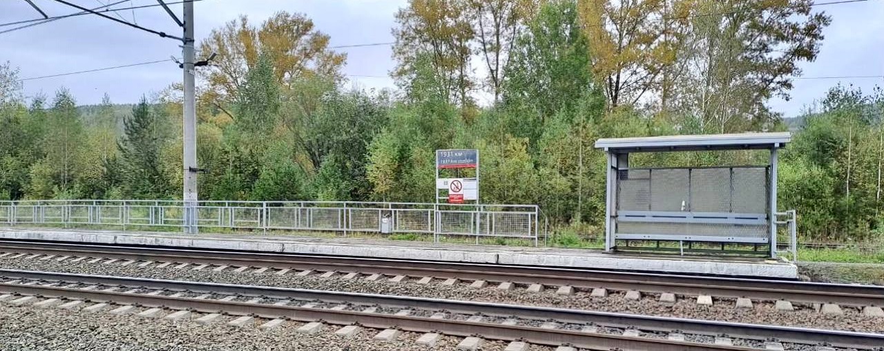 Грузовой поезд насмерть сбил мужчину в Челябинской области