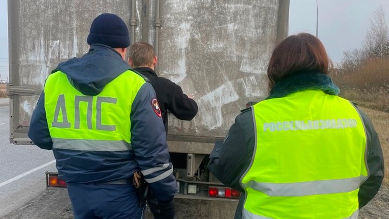В Челябинской области остановили фуры с 3 тоннами подозрительного мяса В Челябинской области остановили фуры с 3 тоннами подозрительного мяса