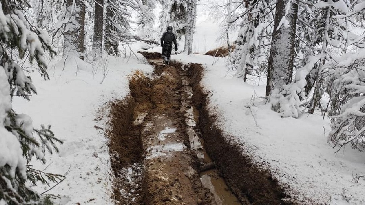 Туристы из Башкирии застряли на болотах в Челябинской области Туристы из Башкирии застряли на болотах в Челябинской области
