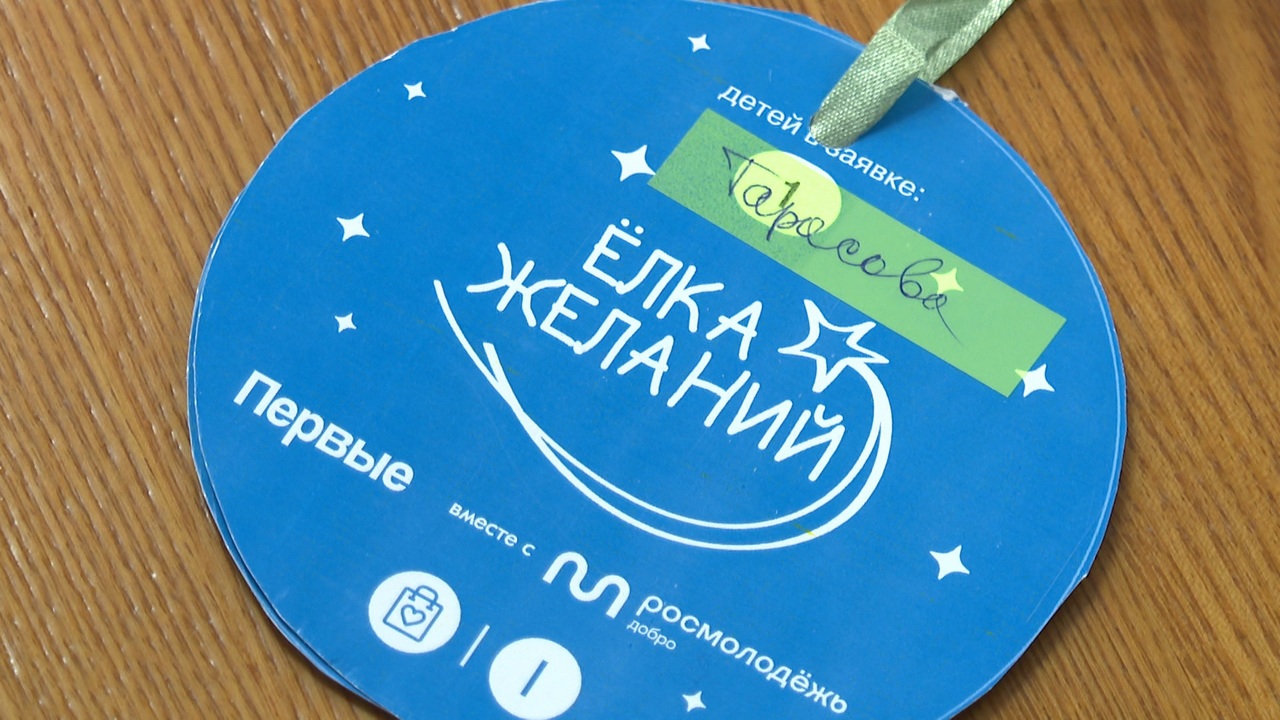 Депутаты Челябинской области исполнят 60 новогодних желаний южноуральских детей Депутаты Челябинской области исполнят 60 новогодних желаний южноуральских детей