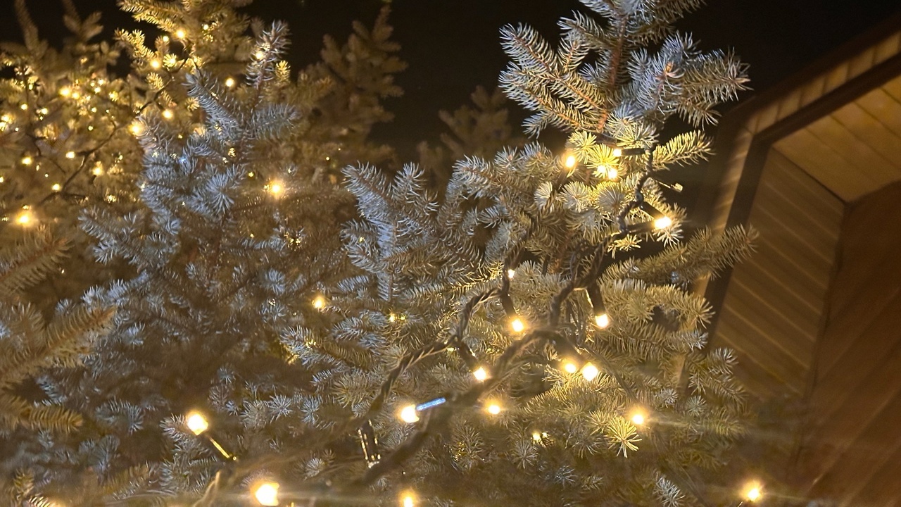 Праздник с огоньком: челябинцам рассказали, как выбрать салют и гирлянды