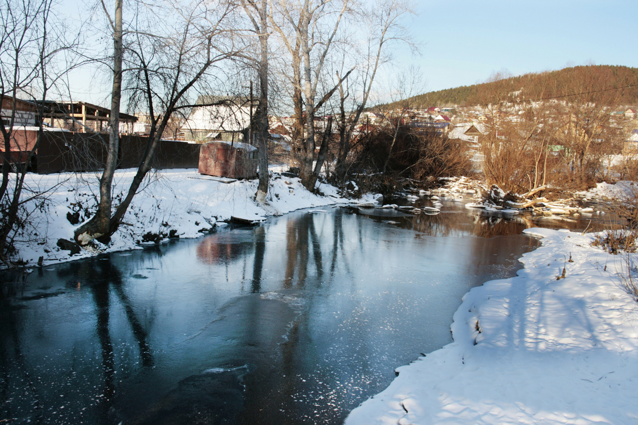 Жители Миасса встревожены активностью бобров в пойме реки 