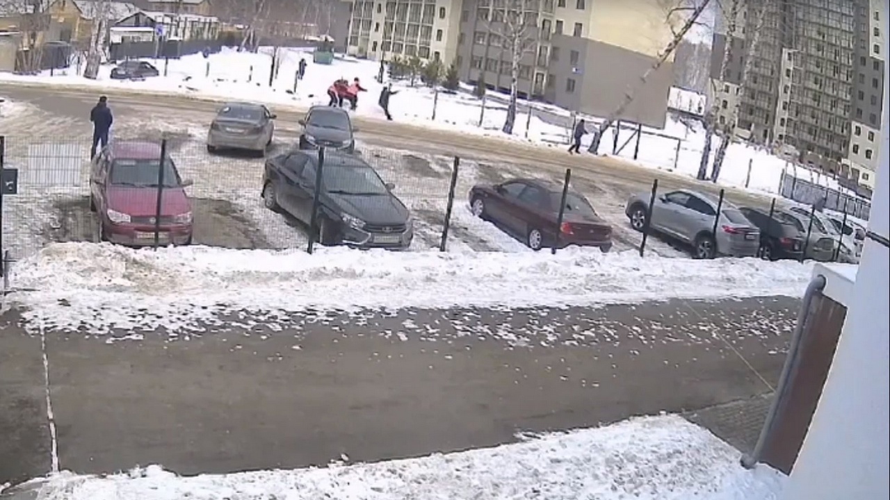 В Челябинске коммунальщики повалили березу на автопарковку и чуть не убили пешехода В Челябинске коммунальщики повалили березу на автопарковку и чуть не убили пешехода