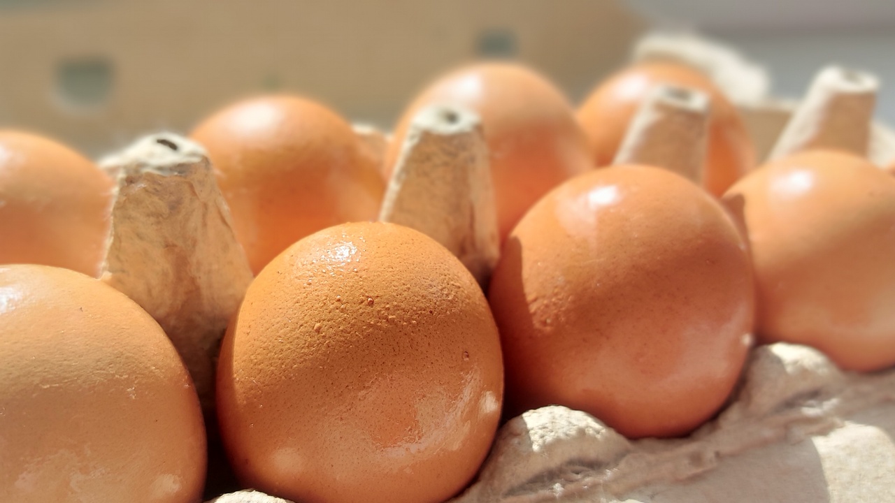 Лучше не экономить: 7 продуктов, которые не могут быть дешевыми Лучше не экономить: 7 продуктов, которые не могут быть дешевыми