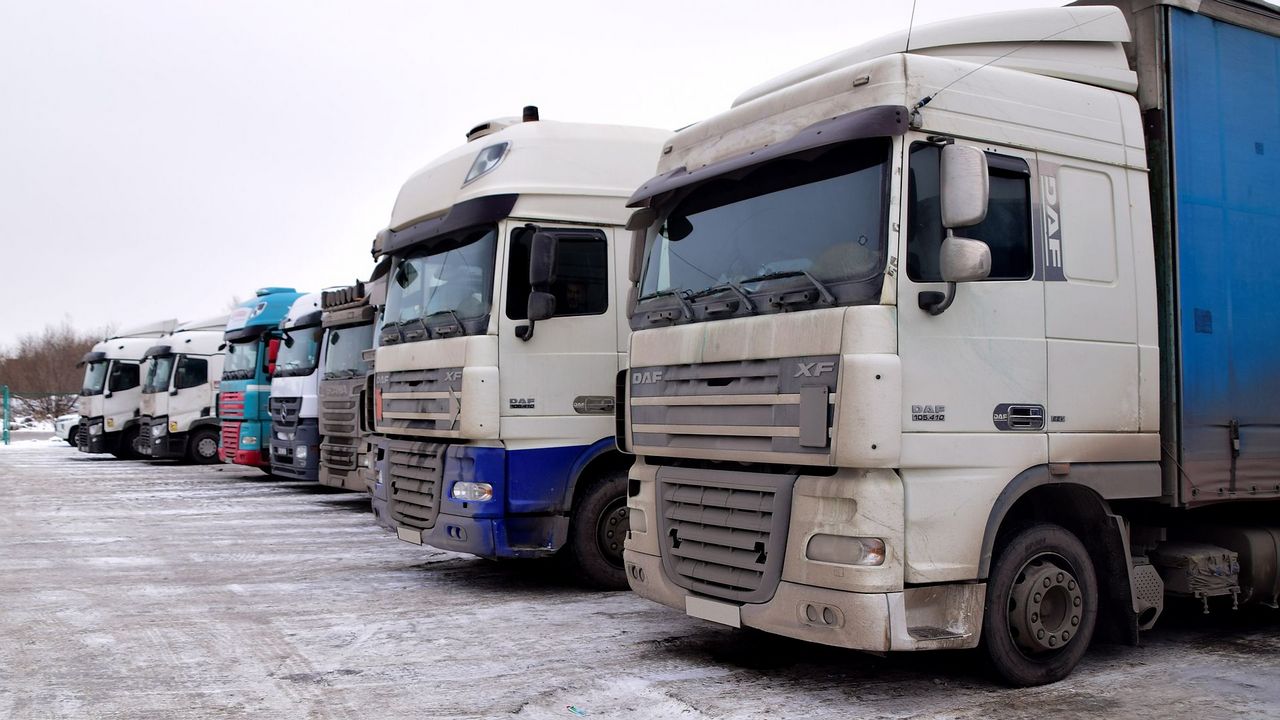 Почти 20 тонн сухофруктов не пустили в Челябинскую область