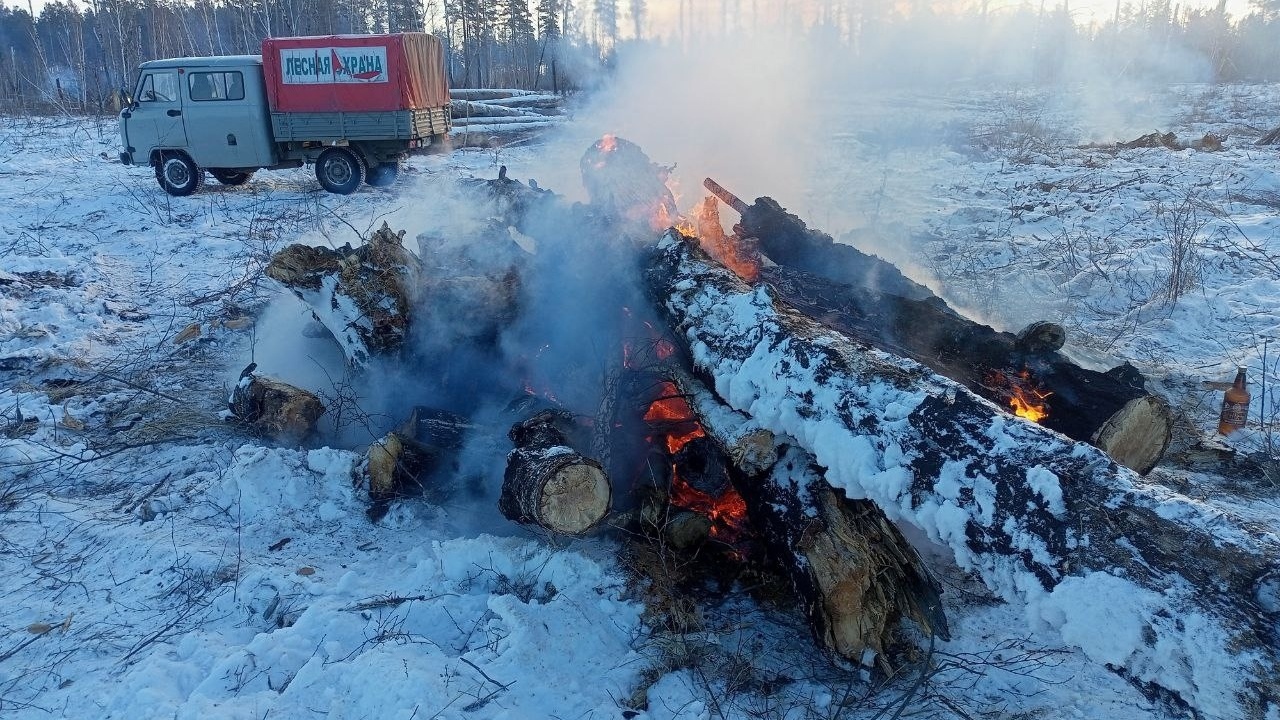 Последствия прошлогодних пожаров ликвидируют в лесах Челябинской области Последствия прошлогодних пожаров ликвидируют в лесах Челябинской области