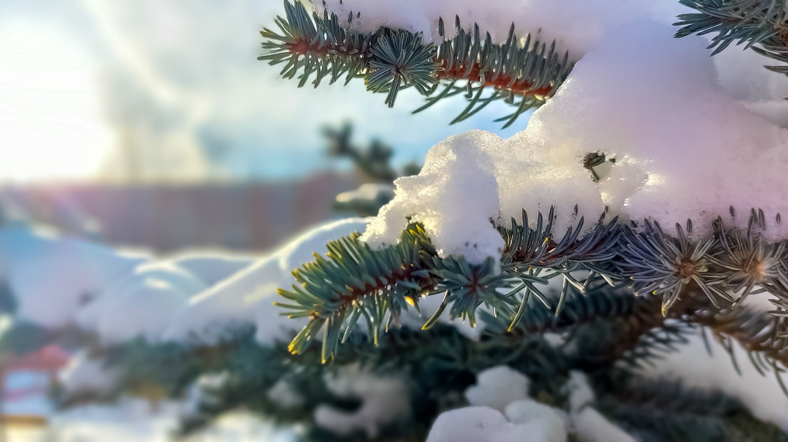 Не январь, а март какой-то: в Челябинскую область пришло аномальное потепление