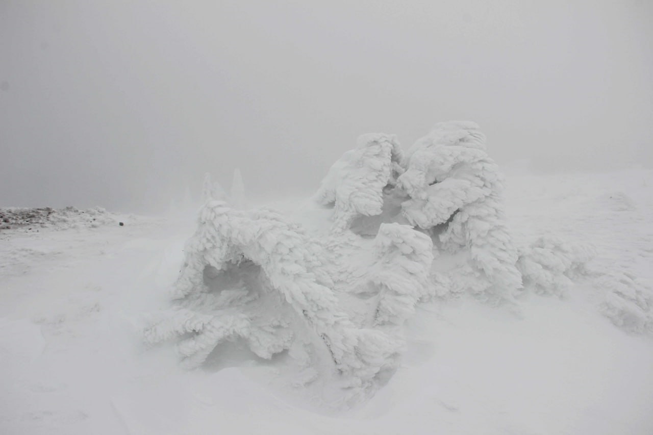 Последствия снежной бури засняли в горах Челябинской области