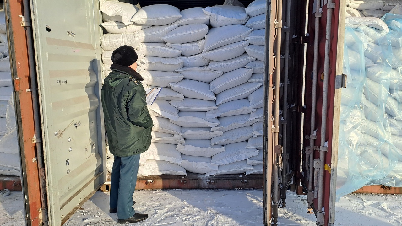 Тысячу тонн китайских семечек привезли на поезде в Челябинскую область