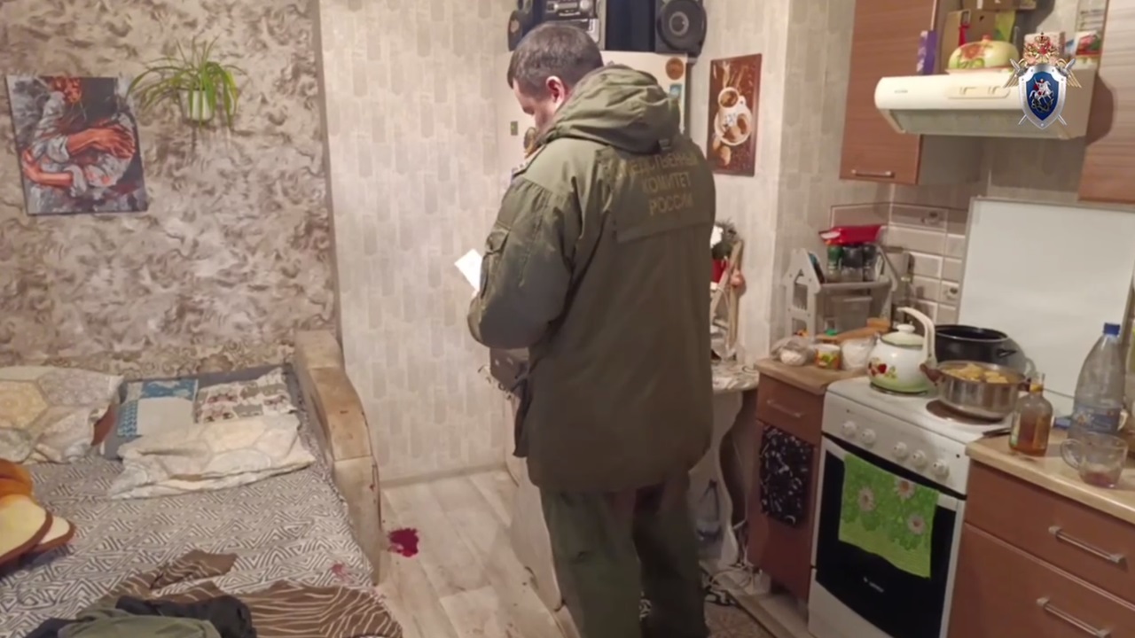 Челябинца задержали за попытку убийства сожительницы и ее сына