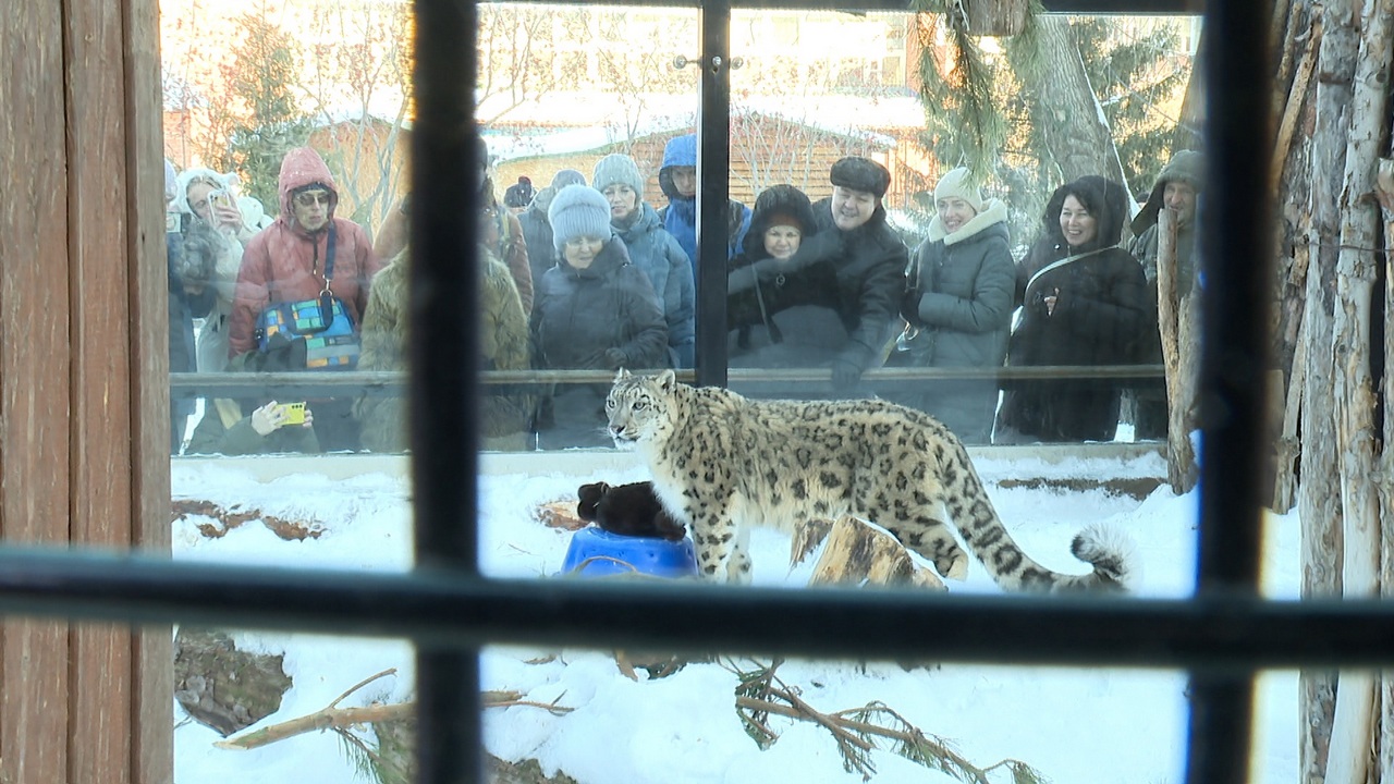 Не только спячка: в зоопарке Челябинска показали зимние развлечения животных