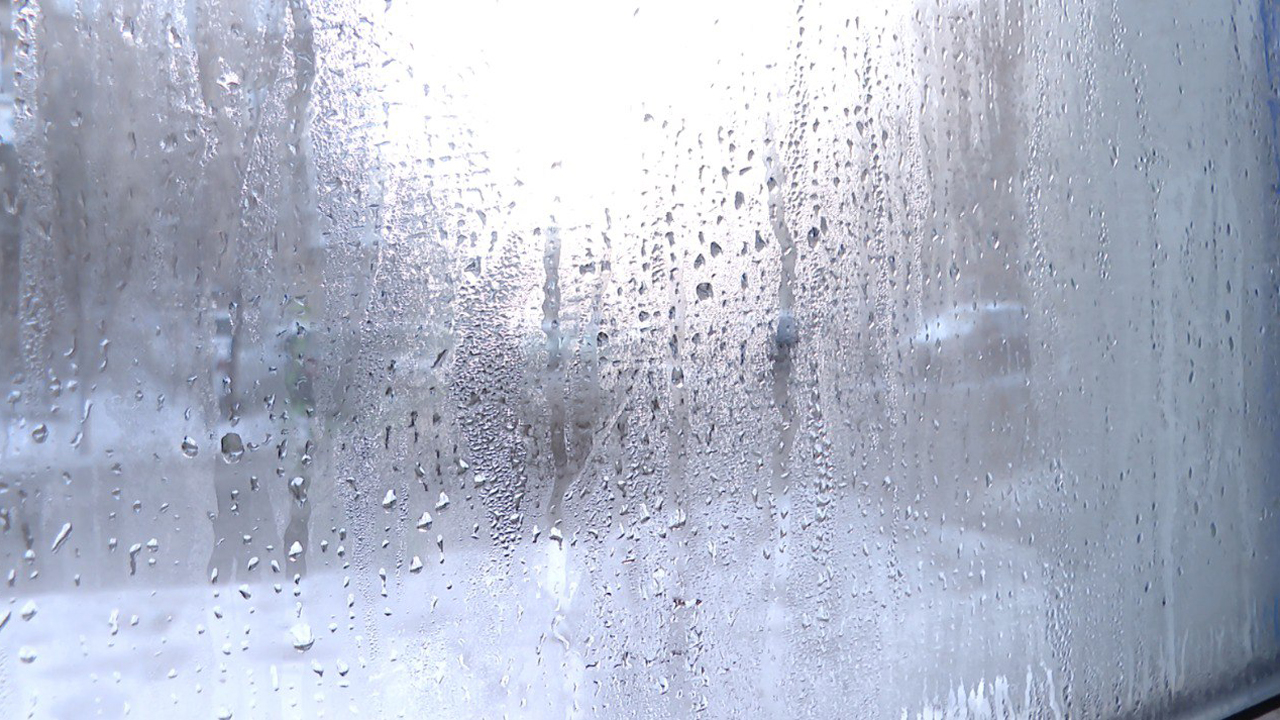 Затопило подвал: учебный центр для бьюти-мастеров в Челябинске страдает от зловонных испарений