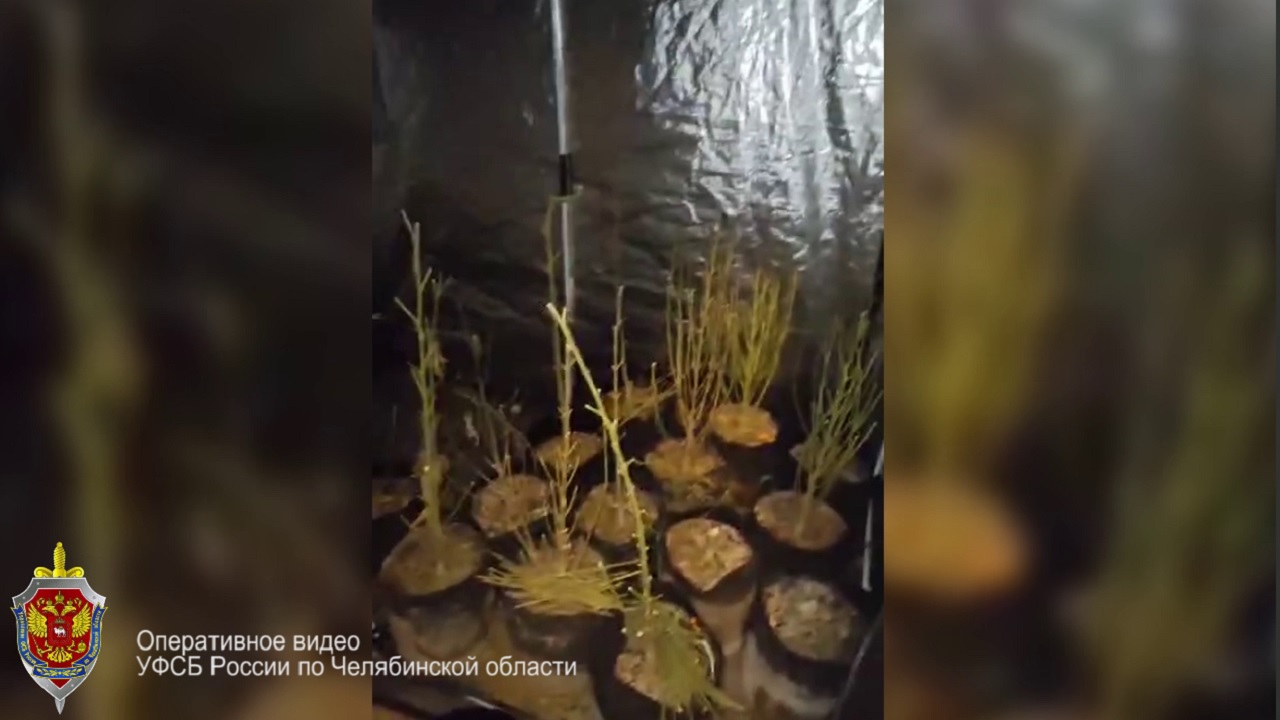 В Челябинской области накрыли крупные нарколаборатории