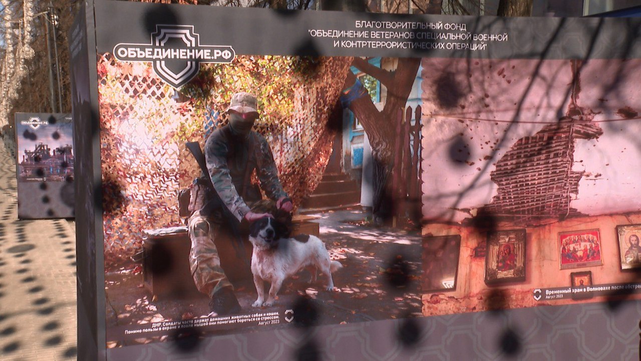 Выставка фотографий из зоны СВО открылась в центре Челябинска