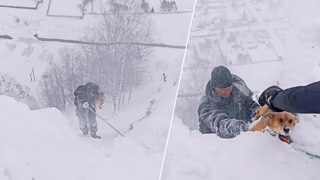 В Челябинской области спасли собаку с отвесной скалы В Челябинской области спасли собаку с отвесной скалы