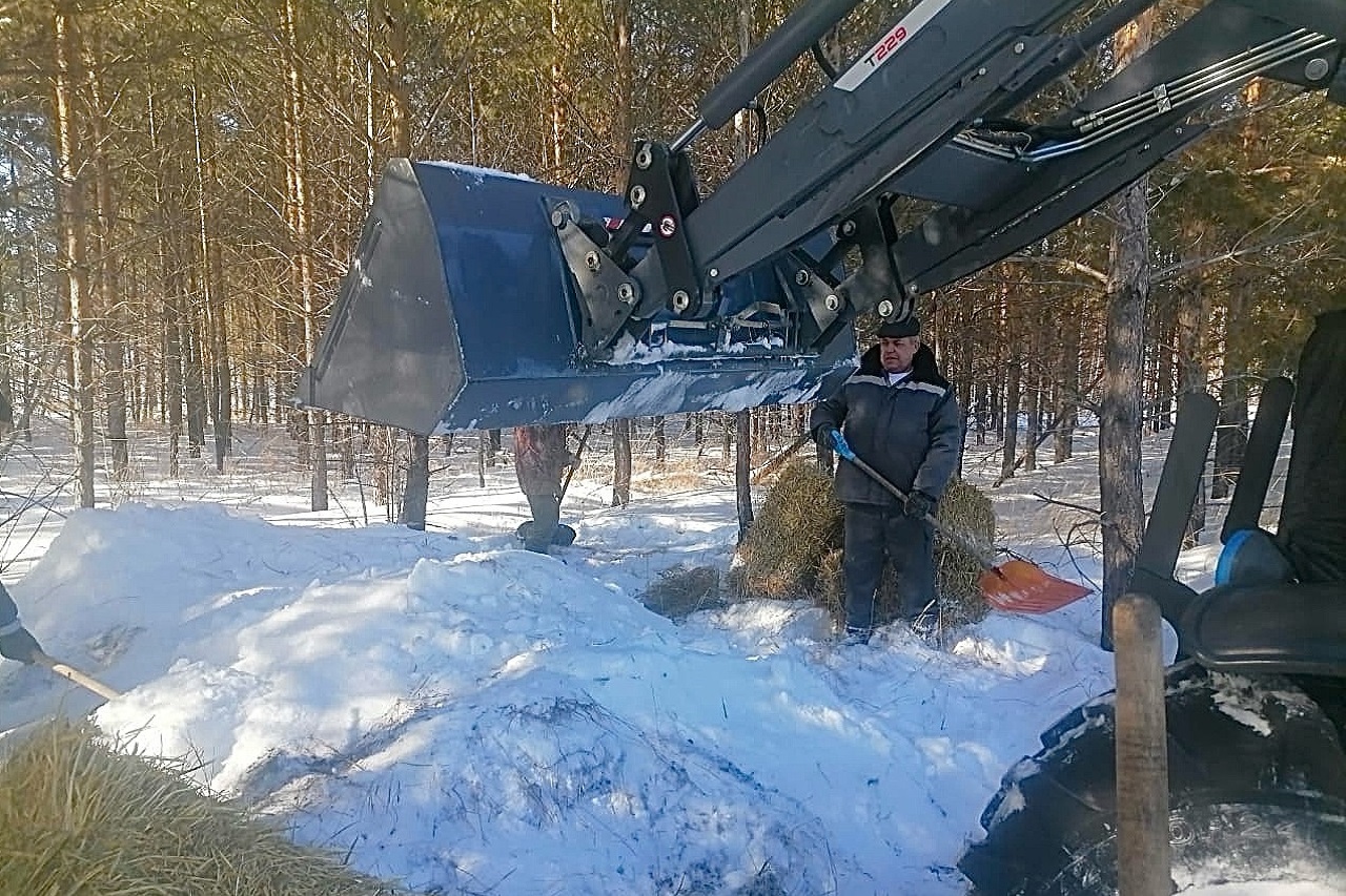 В лесах Челябинской области создают "холодильники" для сеянцев В лесах Челябинской области создают "холодильники" для сеянцев