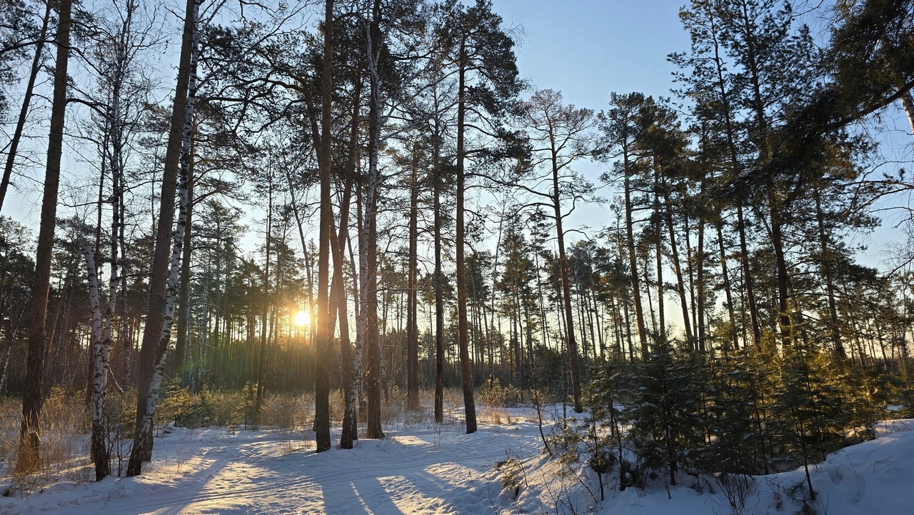 Гололед и потепление до +1 градуса прогнозируют синоптики в Челябинской области
