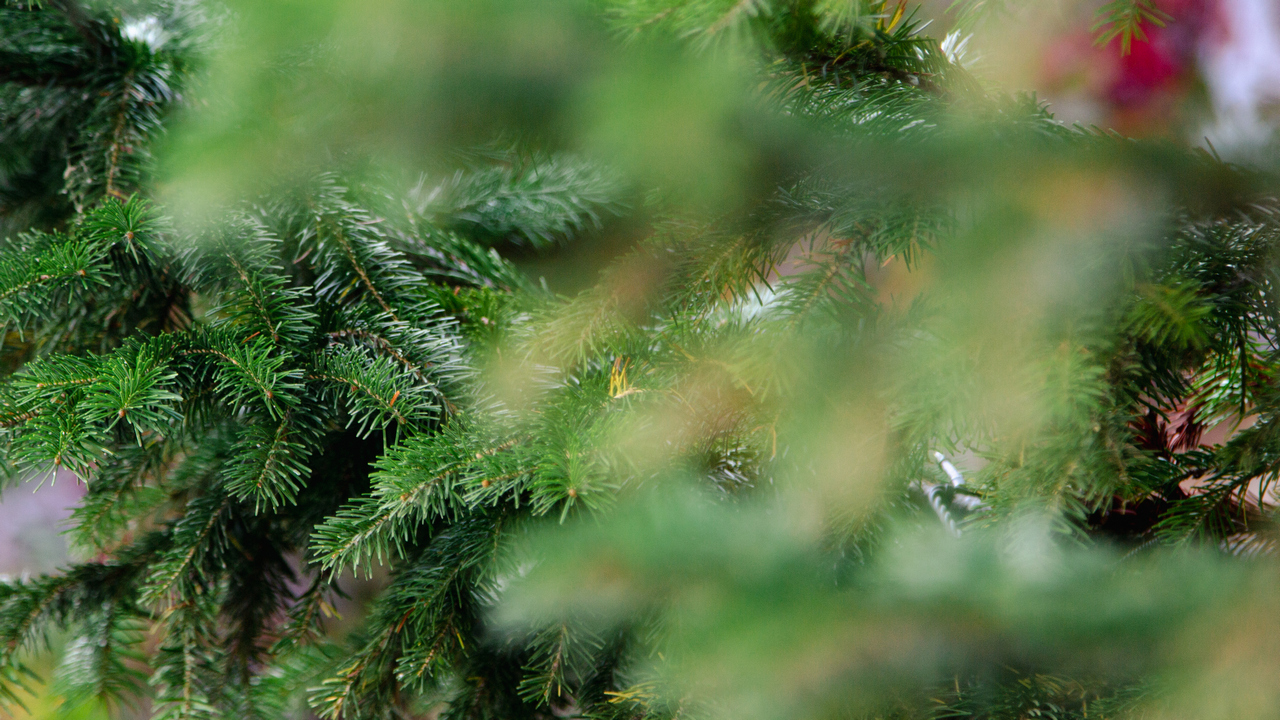 Предстоящая неделя порадует жителей Челябинской области – прогноз погоды