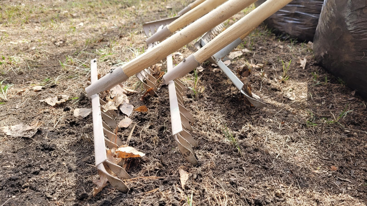 Жителей Челябинска приглашают присоединиться к субботникам