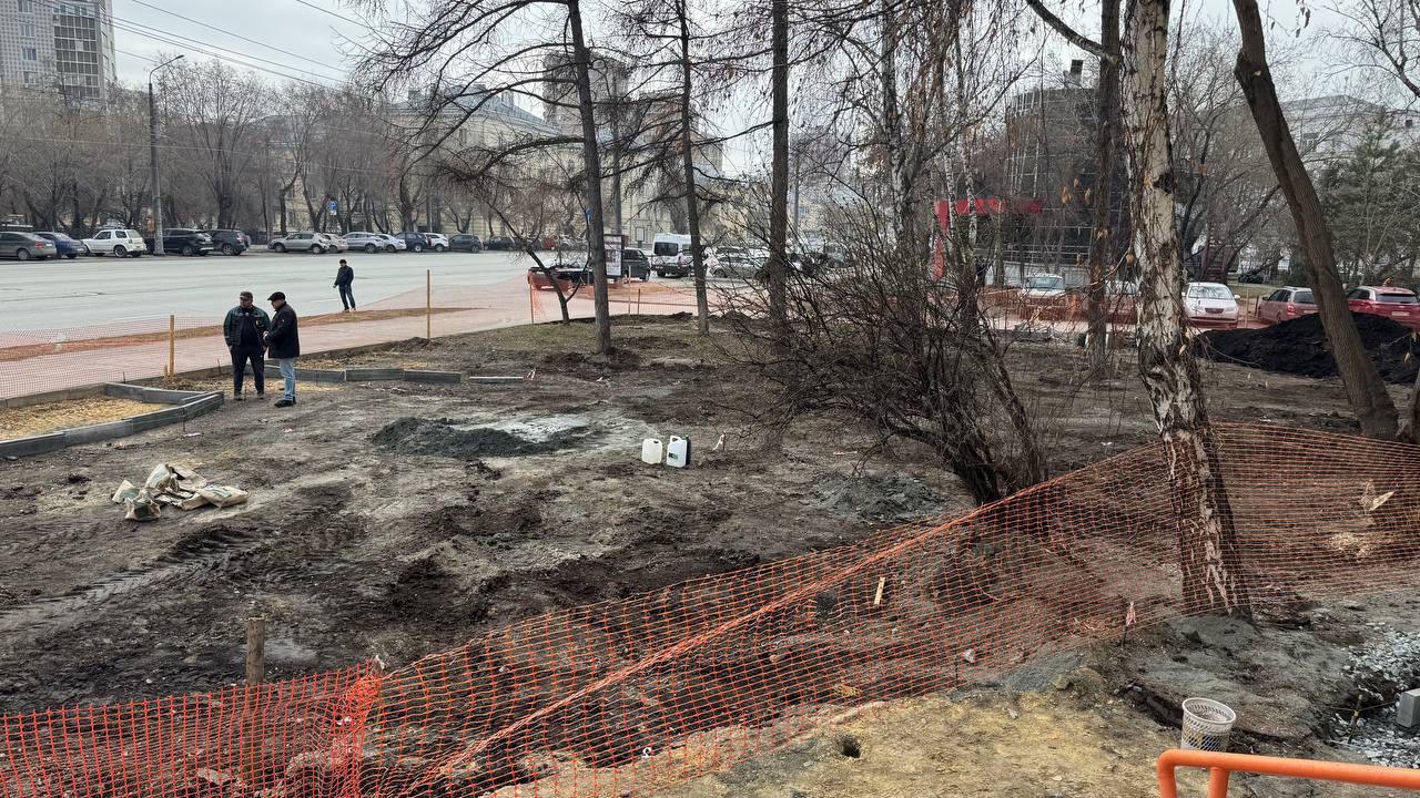 В скверах Челябинска высадят дикий виноград и яблони В скверах Челябинска высадят дикий виноград и яблони
