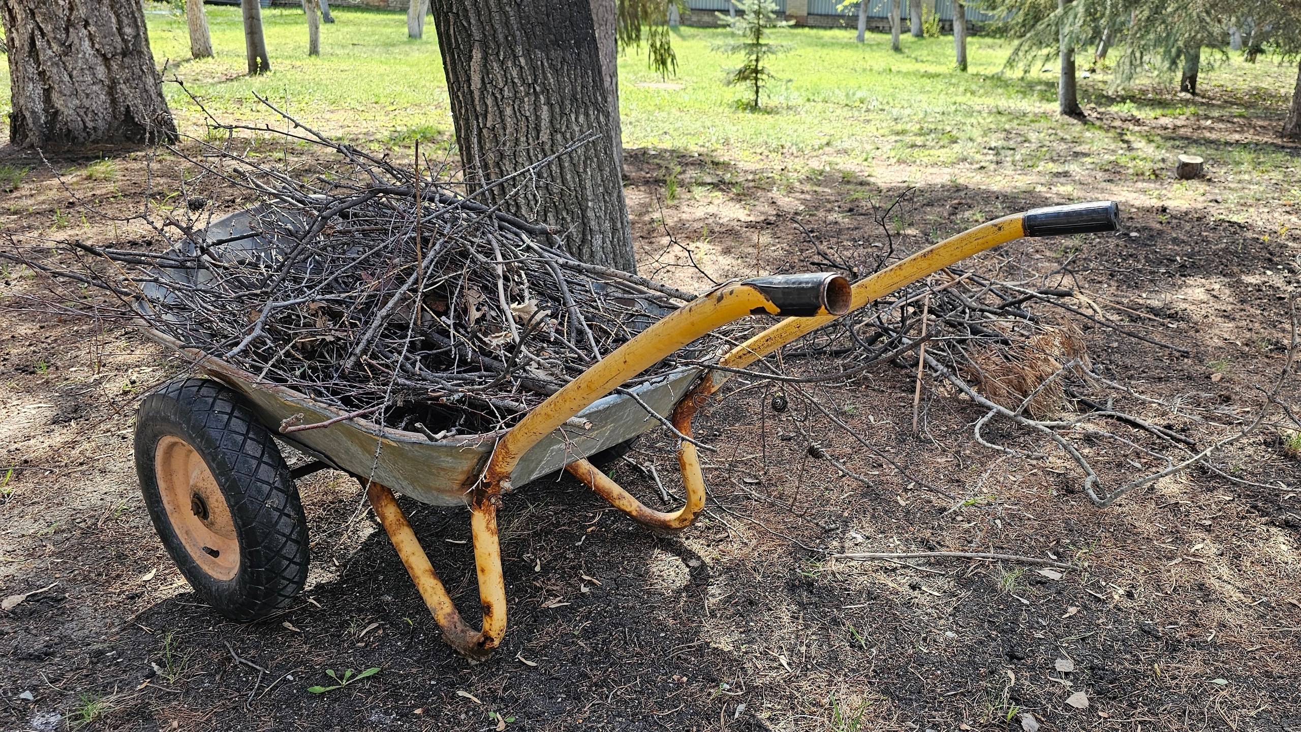 Камеры в сторону, а грабли в руки: сотрудники ГТРК "Южный Урал" вышли на субботник