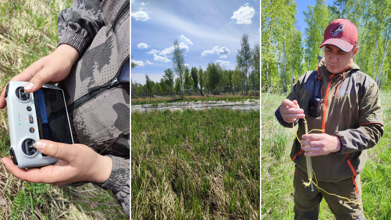 Предполагаемое место падения нового метеорита нашли в Челябинской области