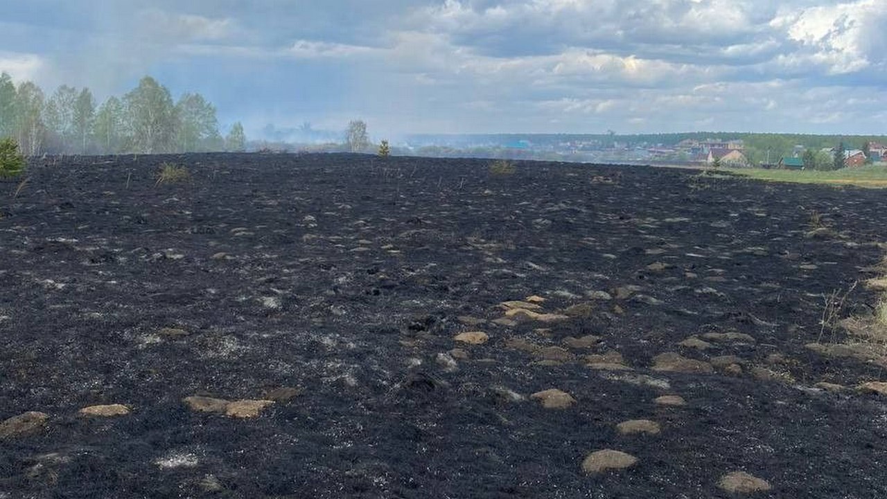 За лесной пожар житель Челябинска выплатит более 600 тысяч рублей За лесной пожар житель Челябинска выплатит более 600 тысяч рублей