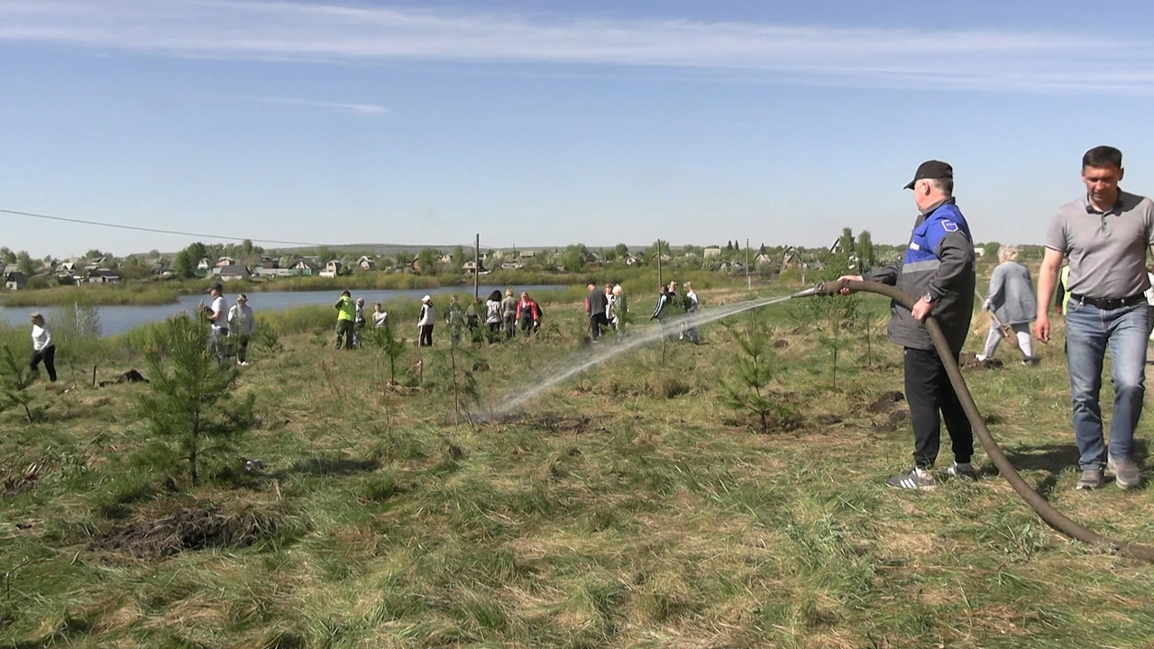 Деревья в виде слова "Победа" высадили в Челябинской области