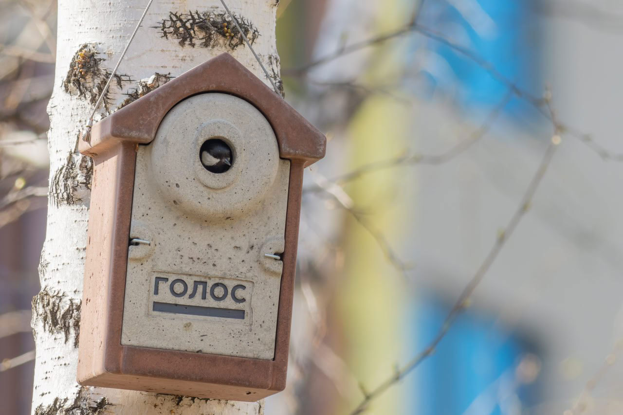 В искусственных гнездовьях для птиц в Челябинске появились первые птенцы В искусственных гнездовьях для птиц в Челябинске появились первые птенцы