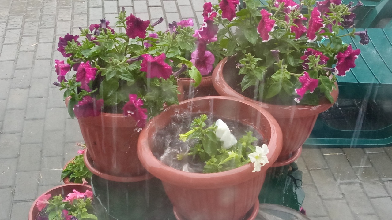 Заморозки и дожди: какой будет погода в августе в Челябинске