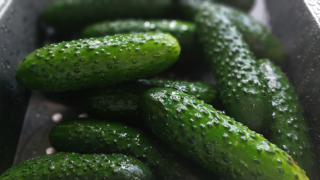 Жителям Челябинска рассказали, можно ли есть овощи и фрукты с грядки