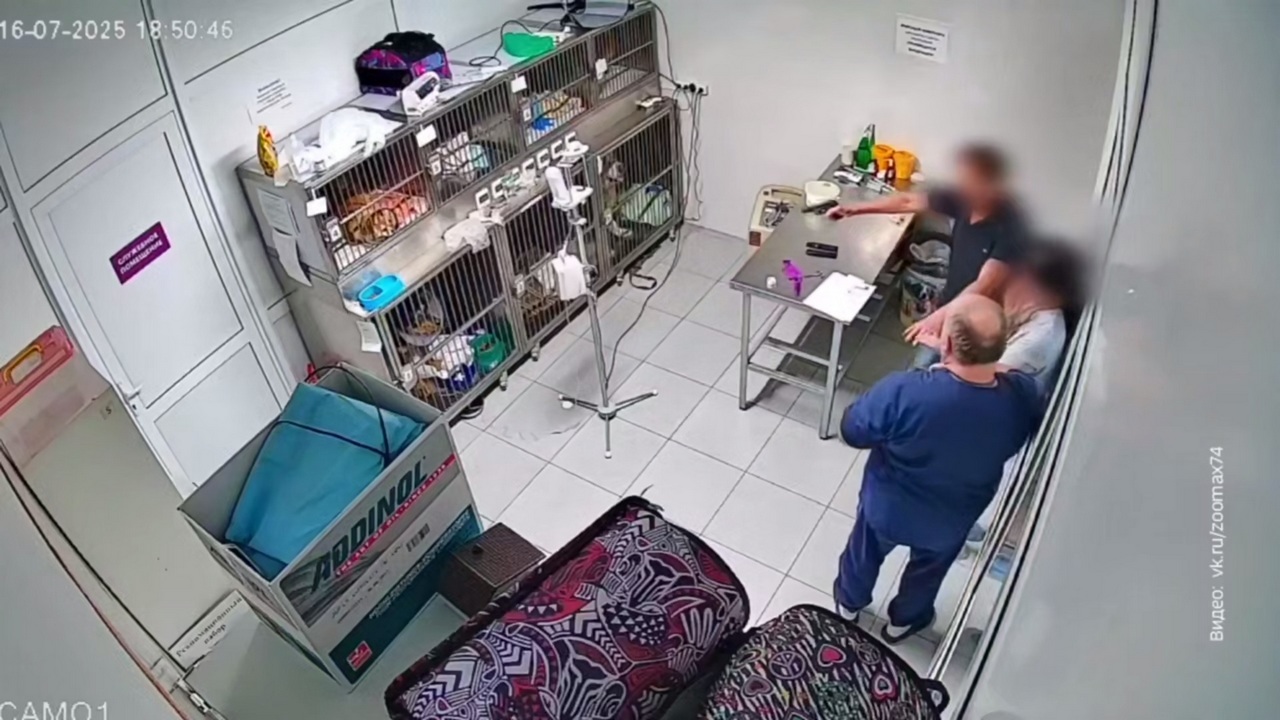 Мужчина с пистолетом угрожал врачам в ветклинике Челябинска