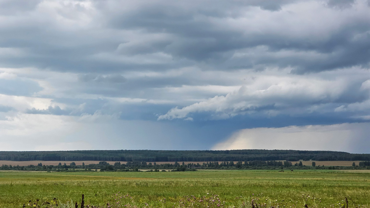 Жителей Челябинской области ожидают дожди и грозы 10 июля