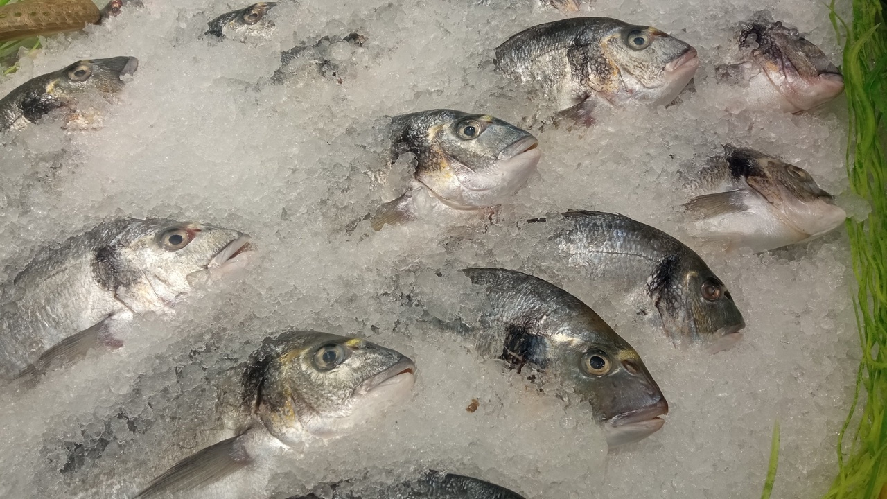 Как правильно хранить свежую рыбу, рассказали эксперты из Челябинска