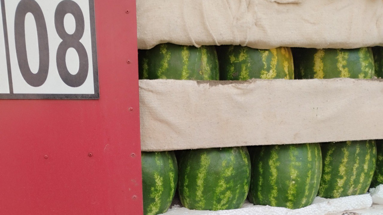 В Челябинскую область не пропустили 60 тонн арбузов и дынь из Казахстана