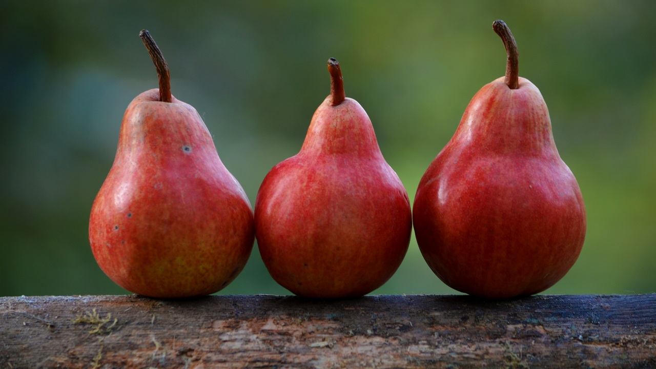 В Челябинской области продали крупную партию груш с вредителями