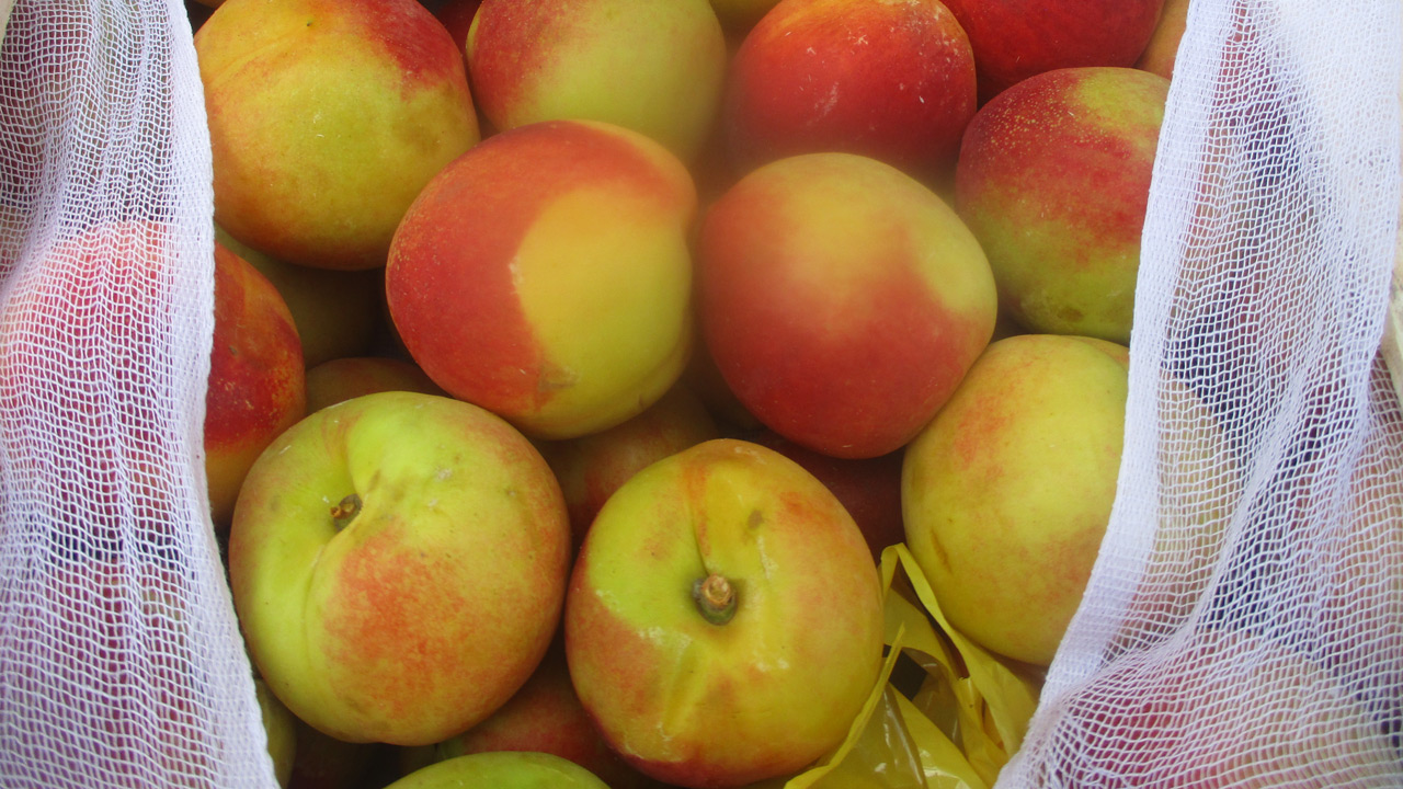 На складе в Челябинске обнаружили почти 7 тонн зараженных нектаринов