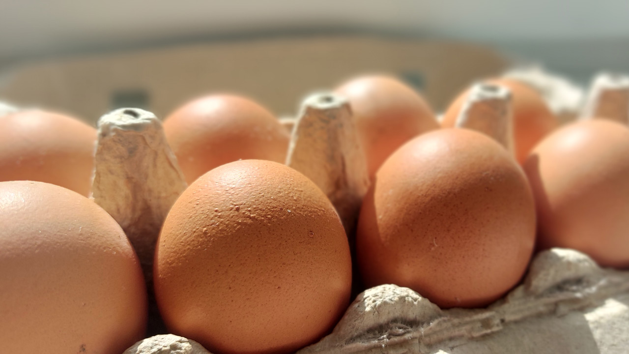 Цены на яйца, куриное мясо и яблоки снизились в Челябинской области