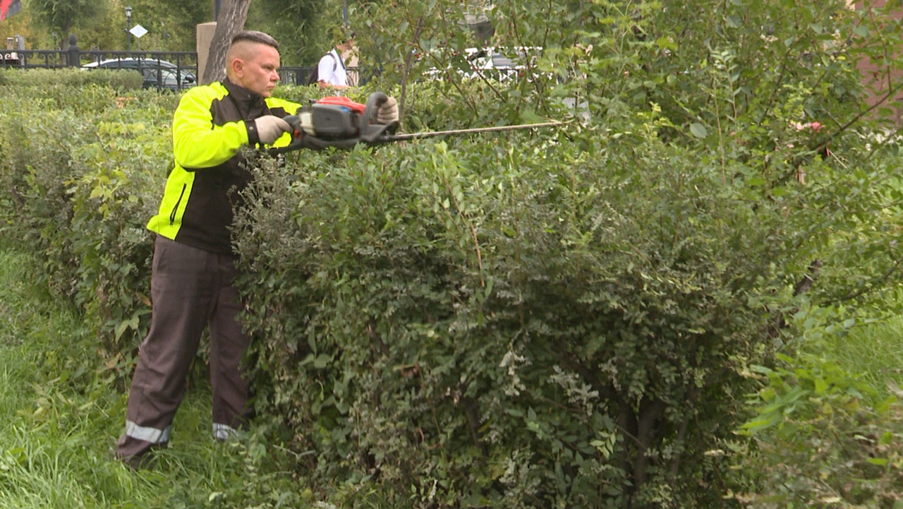 В магнитогорском сквере Металлургов провели обрезку деревьев и кустарников