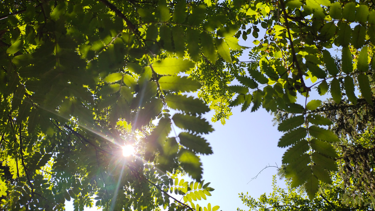Дожди отступят, придет жара: синоптики рассказали о погоде в Челябинской области