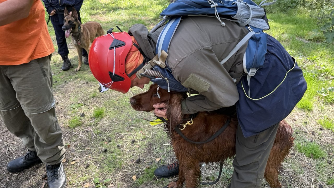В Челябинской области собаки-спасатели показали умения в экстремальных ситуациях В Челябинской области собаки-спасатели показали умения в экстремальных ситуациях