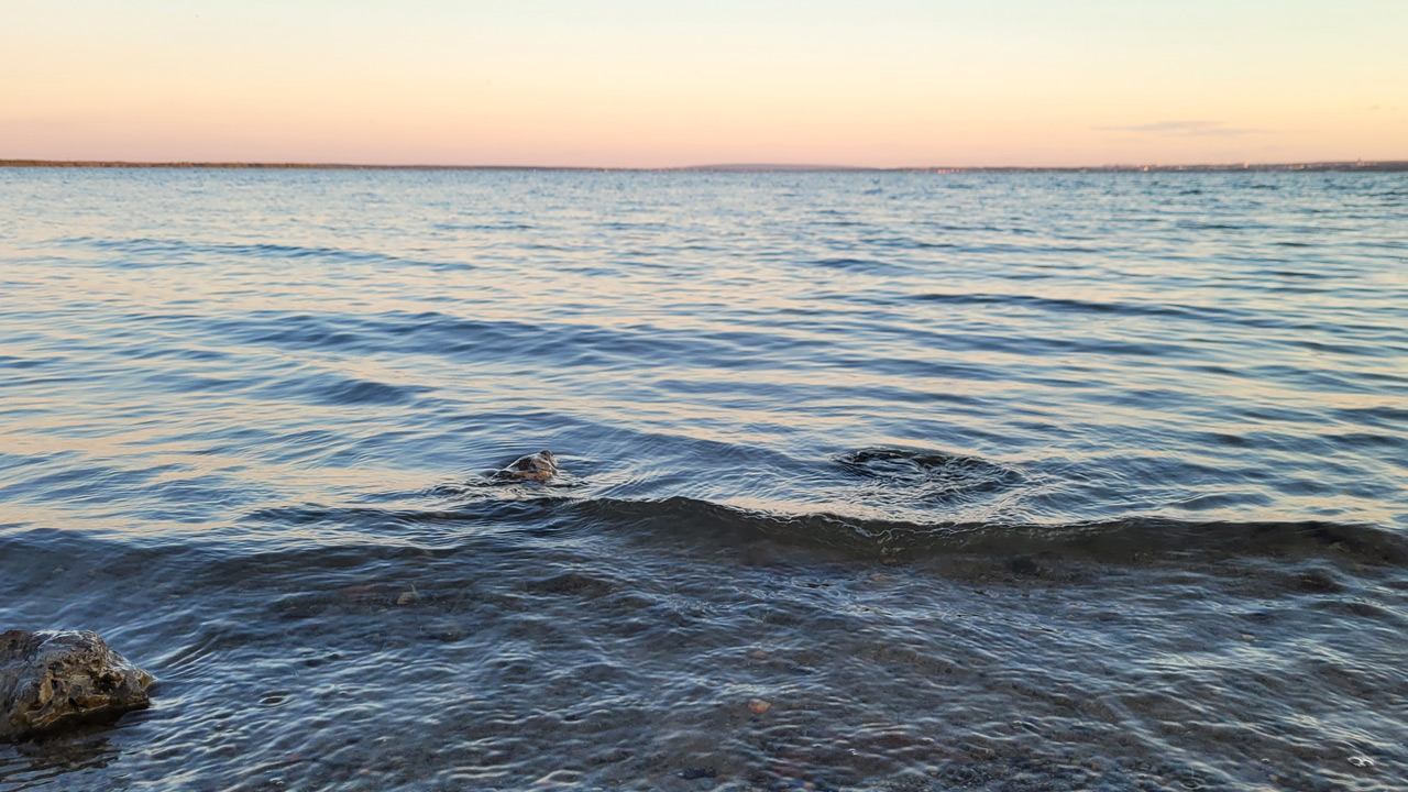 Мужчина из Магнитогорска пропал во время подводной охоты в Башкирии