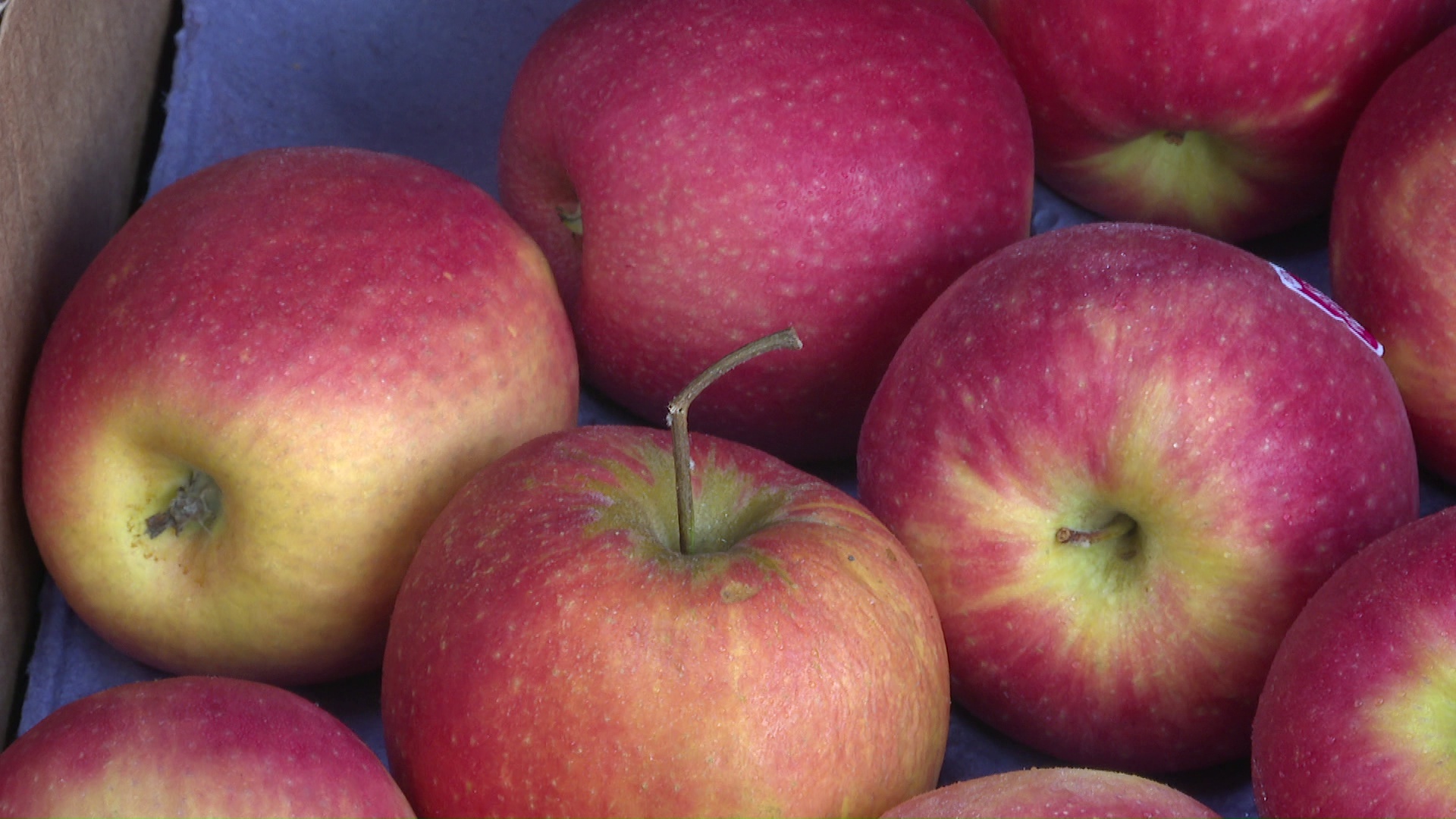 Полезный фрукт: как выращивать и что готовить из яблок, рассказали эксперты из Челябинска