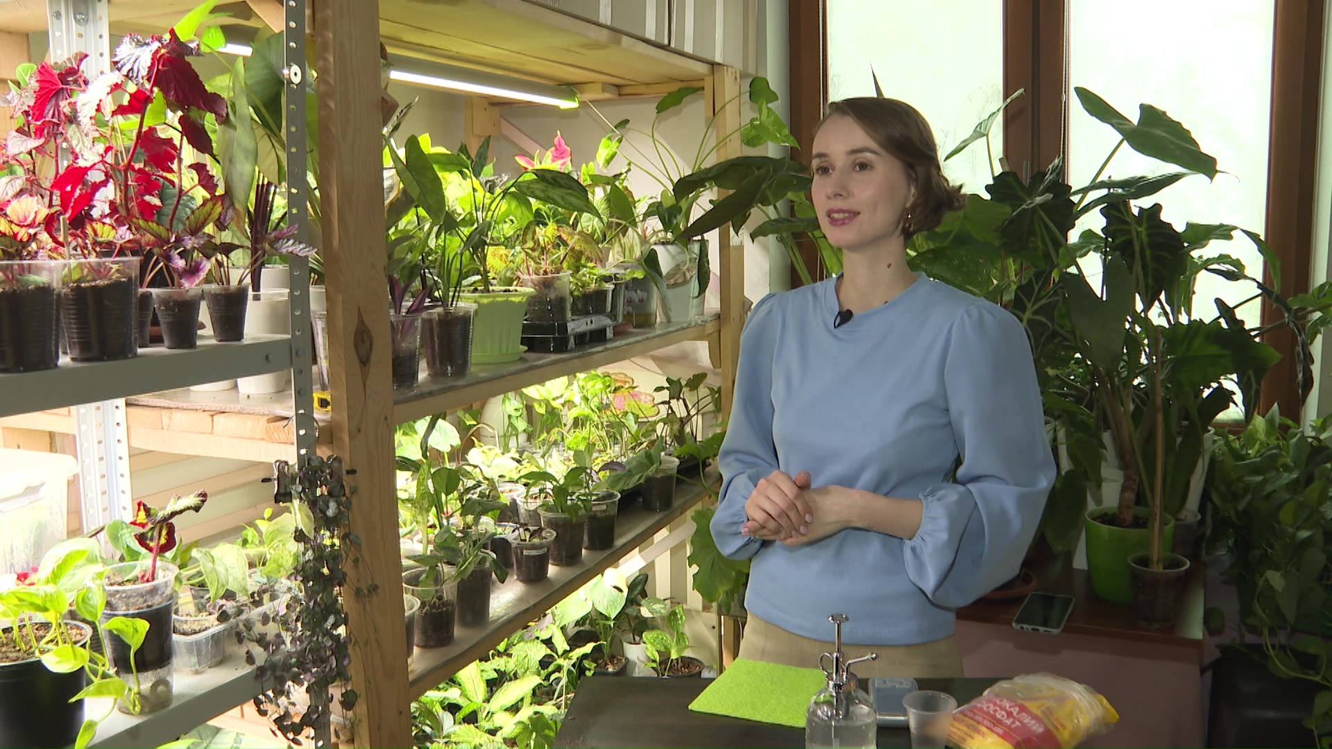 Коллекционер домашних цветов из Челябинска раскрыла секреты зимнего ухода за растениями 