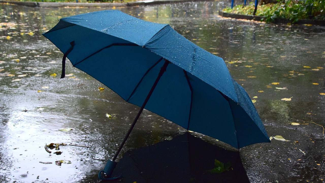 Северный циклон несет дожди и порывистый ветер в Челябинскую область Северный циклон несет дожди и порывистый ветер в Челябинскую область