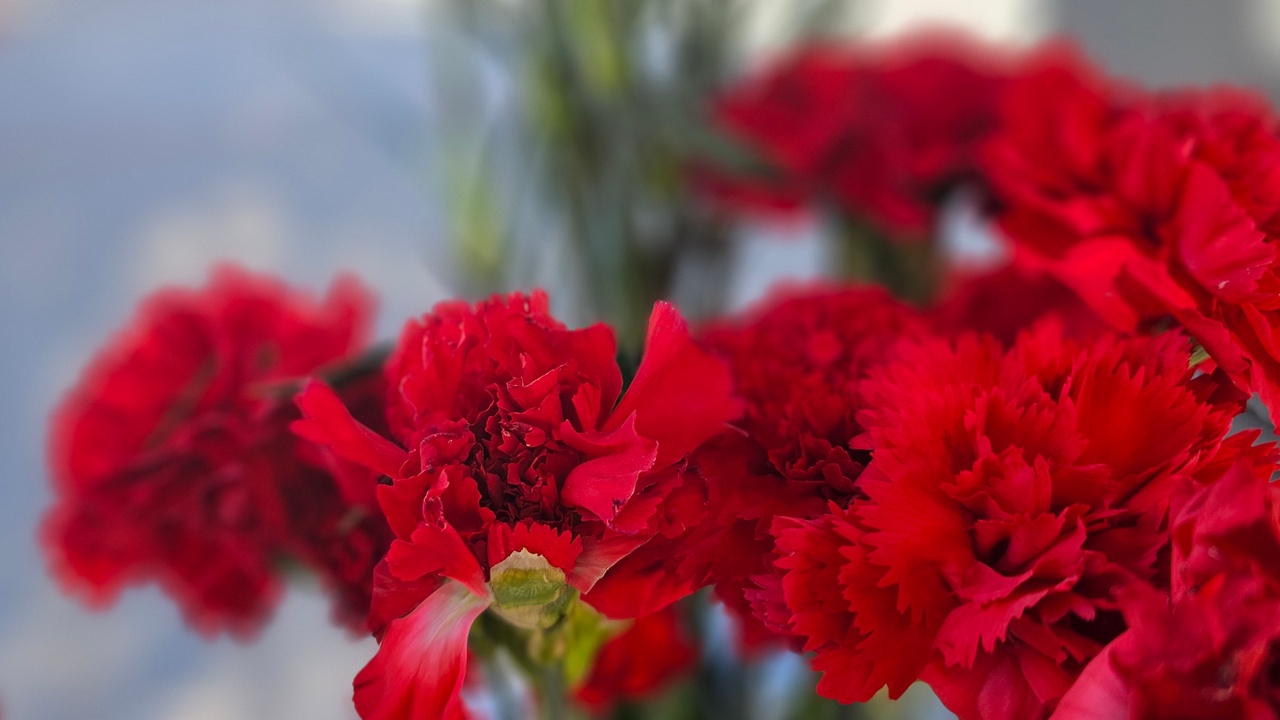 В Челябинске почтят память жертв политических репрессий