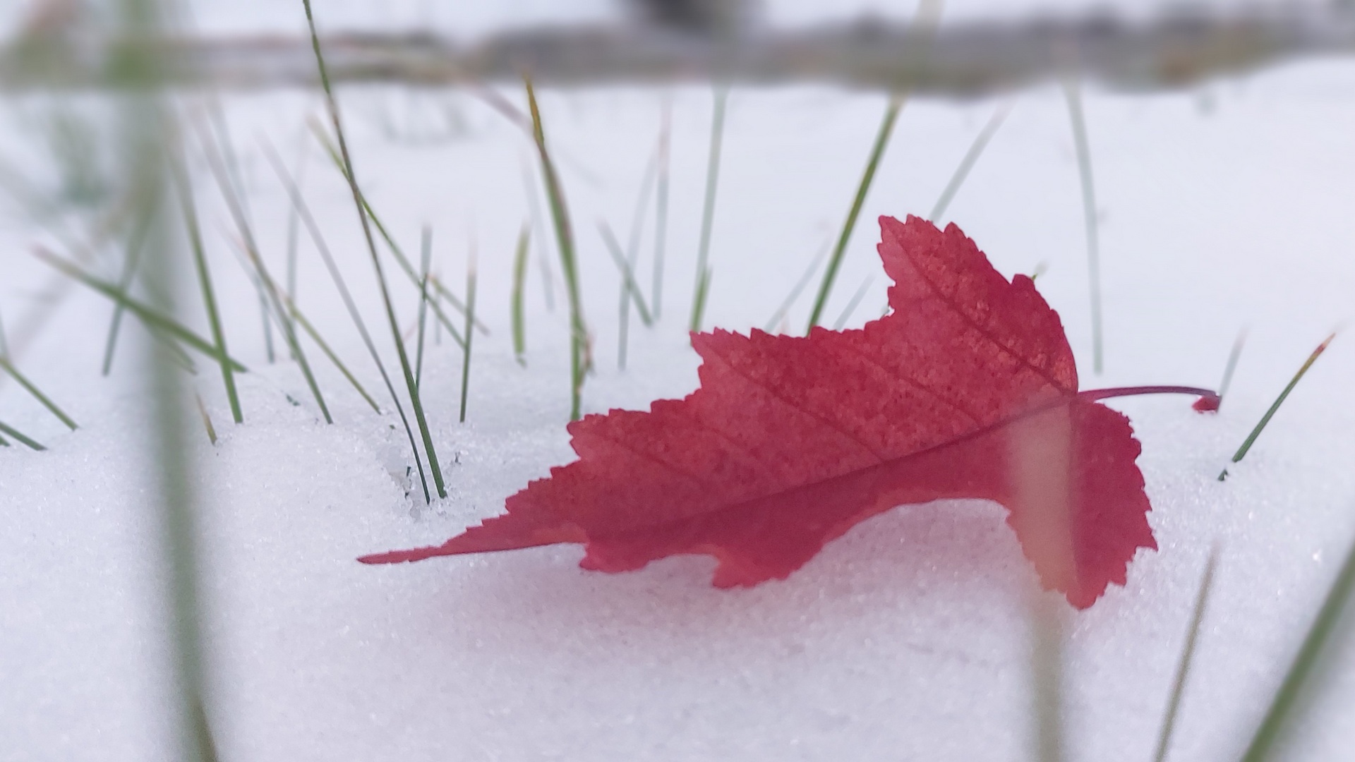 Зимний сентябрь: как жители Челябинской области пережили непогоду
